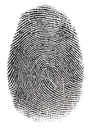 Real fingerprint in white background Super macro | Bermotech